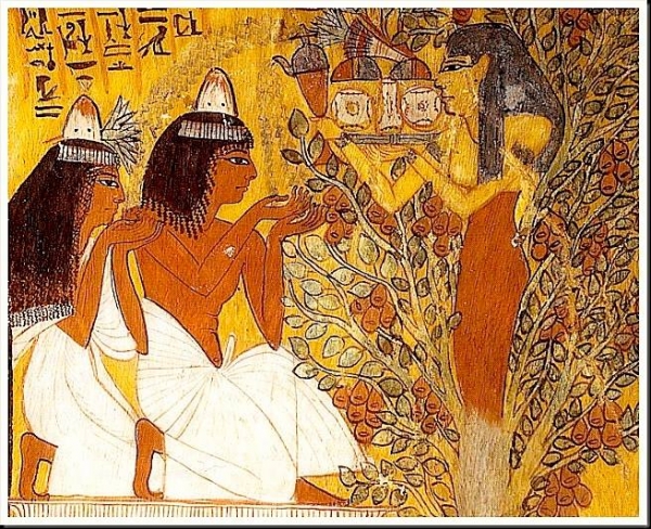 이집트 여신 하토르가 뽕나무 사이에서 생명수를 제공하고 있다. (데이를 메디나 무덤 벽화, 룩소, 19왕조)