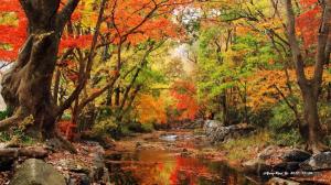 가을이 깊어가는 선운산 도솔천의 눈부심